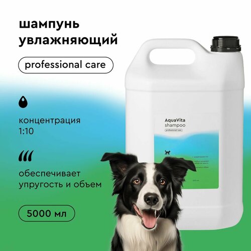Универсальный шампунь для собак ProAnimal AquaVita увлажнение и питание всех типов шерсти / для длинношерстных, жесткошерстных, мелких и крупных пород концентрат 1:10 5 литров