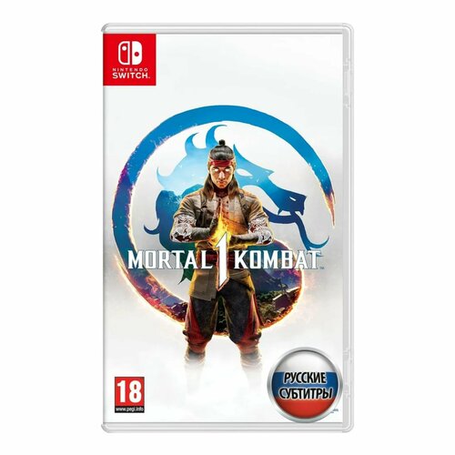 Игра Mortal Kombat 1 (Nintendo Switch, Русские субтитры) игра sega mortal kombat