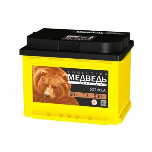 Аккумулятор Тюменский медведь 60Ач R EN590A 242x175x190 B13 6800₽