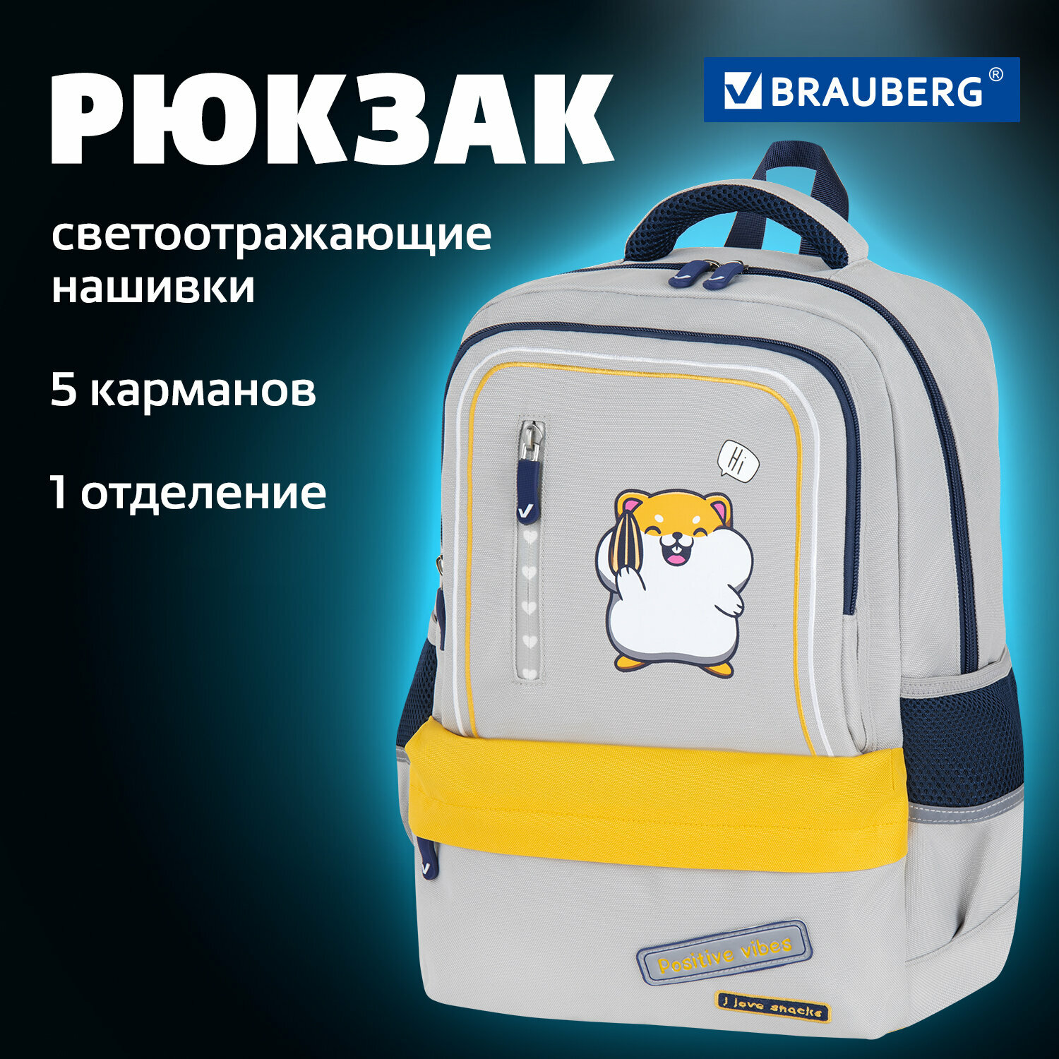 Рюкзак школьный для девочки, ранец для подростка спортивный, портфель детский в школу, 1 отделение и 5 карманов, Brauberg Hamster, 272063