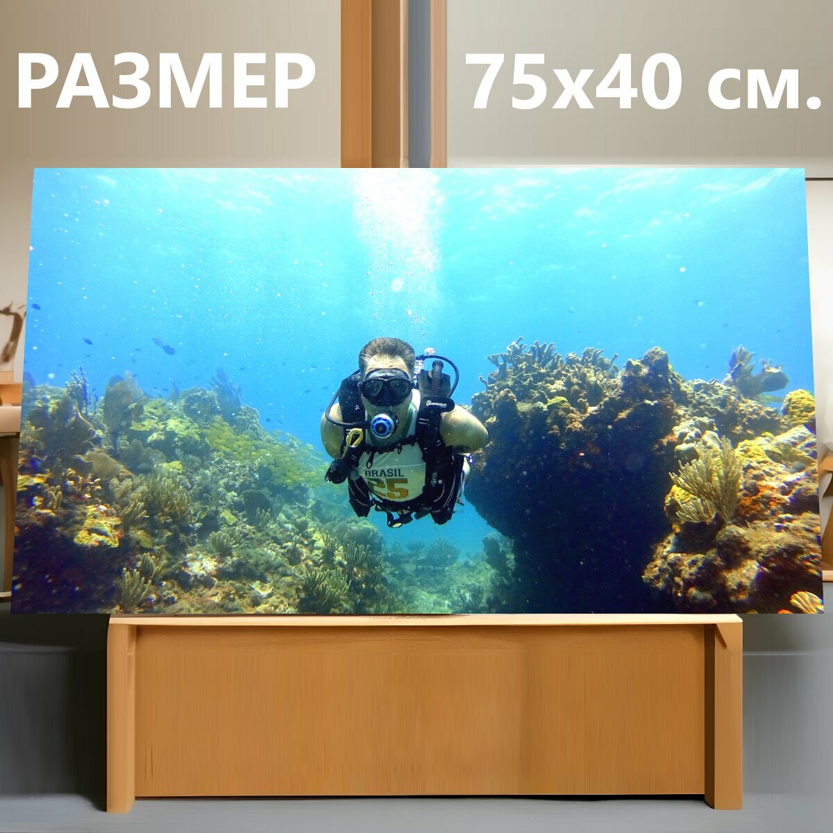 Картина на холсте "Подводное плавание, дайвинг, подводный" на подрамнике 75х40 см. для интерьера