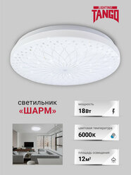 Светильник настенно-потолочный LED "Шарм" 18 Вт mini 25х25х5,5 см, белый