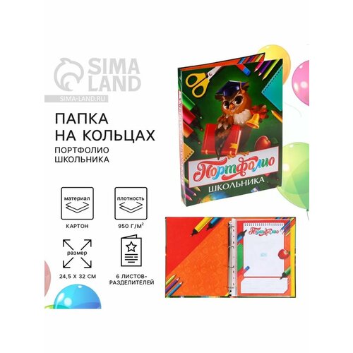 Папка на кольцах Портфолио школьника 6 листов-резделител 886₽