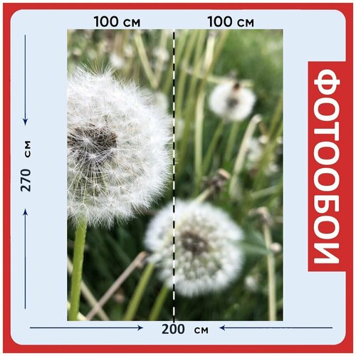 Фотообои Одуванчик белый мягкий 200x270 см флизелиновыена стену 2960₽