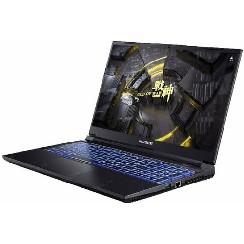 Ноутбук Hasee Z8 B63614FH 11082600₽