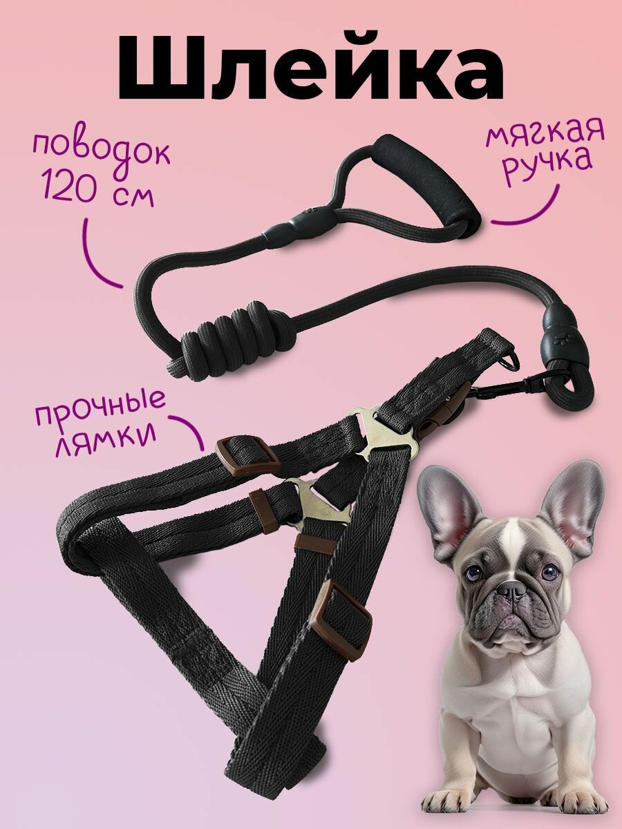 Шлейка MiloPets для собак и кошек, с поводком 120 см, обхват груди M 36-49 см, черный