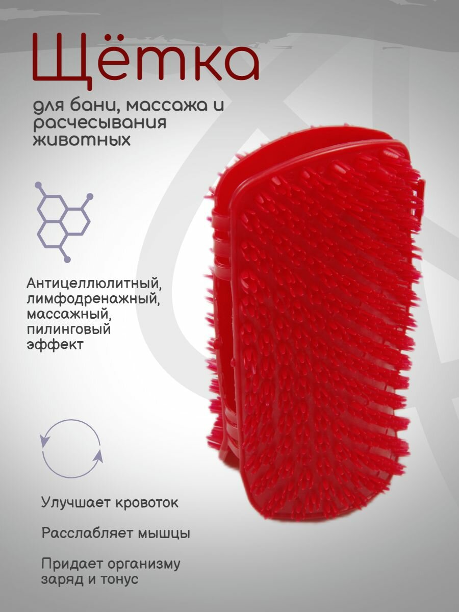 Массажная щетка антицеллюлитная для бани (красный)