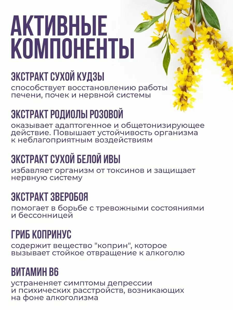 Средства От Наркотической Зависимости Капсулы от алкогольной зависимости, детокс организма, пищевая добавка Трезвин, средство от алкоголизма и запоя, 20 шт