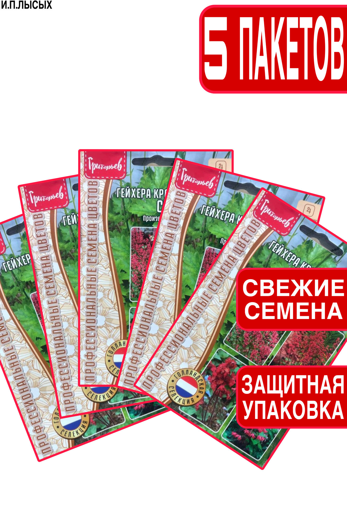 Семена Гейхера кроваво-красная