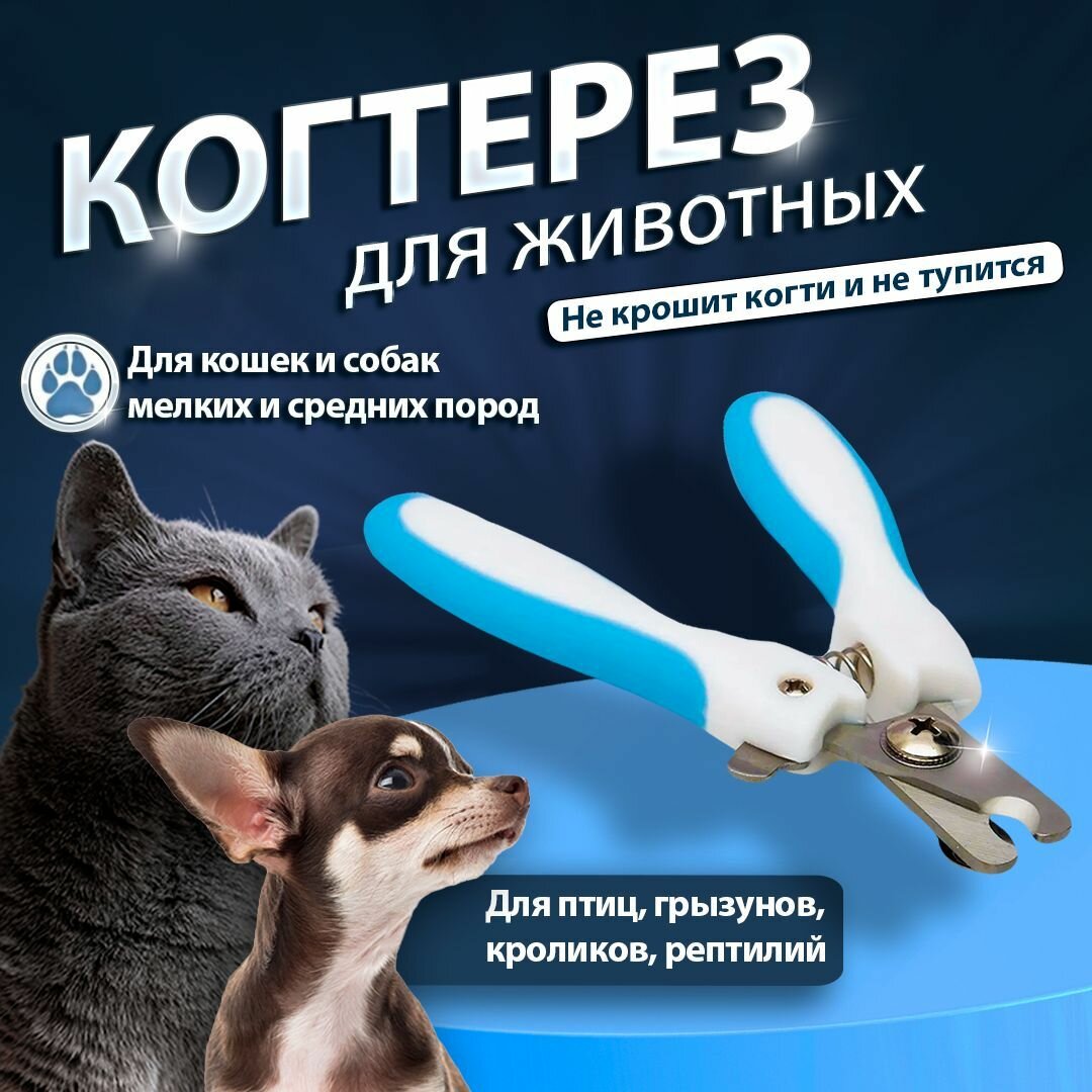 Когтерез