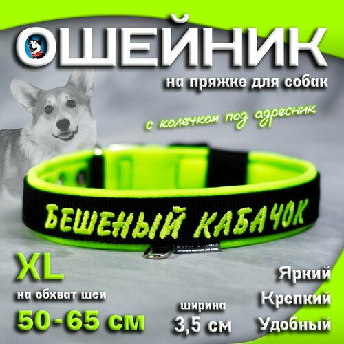 Ошейник для собак Buddy team на пряжке, с вышивкой бешеный кабачок, ширина 3,5 см, с мягким подкладом для средних и крупных пород, размер XL