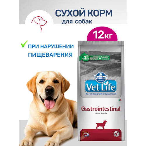 Сухой корм для собак Farmina Vet Life Gastrointestinal, при заболеваниях желудочно-кишечного тракта (ЖКТ), курица, 12кг