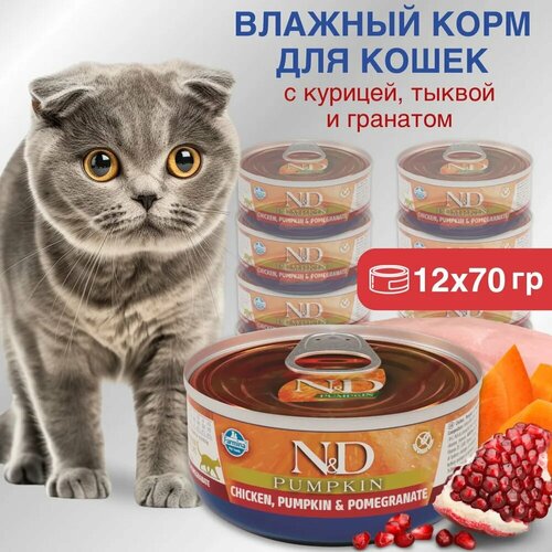 Влажный корм для взрослых кошек Farmina N&D Pumpkin Cat, с курицей, тыквой и гранатом, 12 шт х 70 гр
