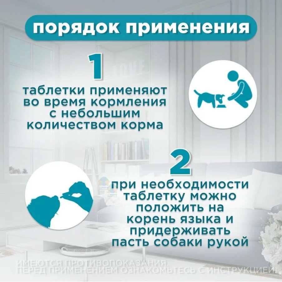 Таблетки Apicenna "Габитабс", для средних и крупных пород собак, 200мг,10 штук — фото 1
