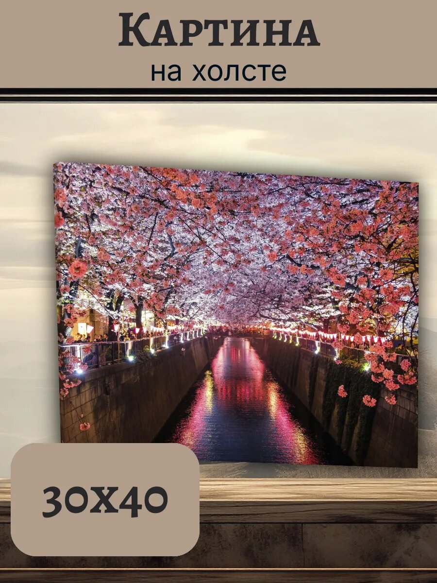 Картина Япония Japan 30x40 цветущая сакура ночной канал