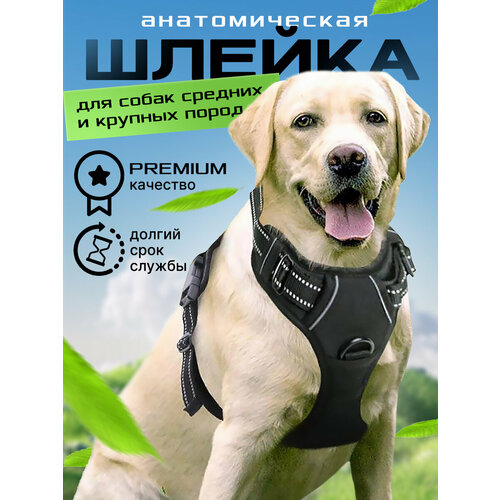 Анатомическая шлейка для средних и больших собак, размер S, цвет черный