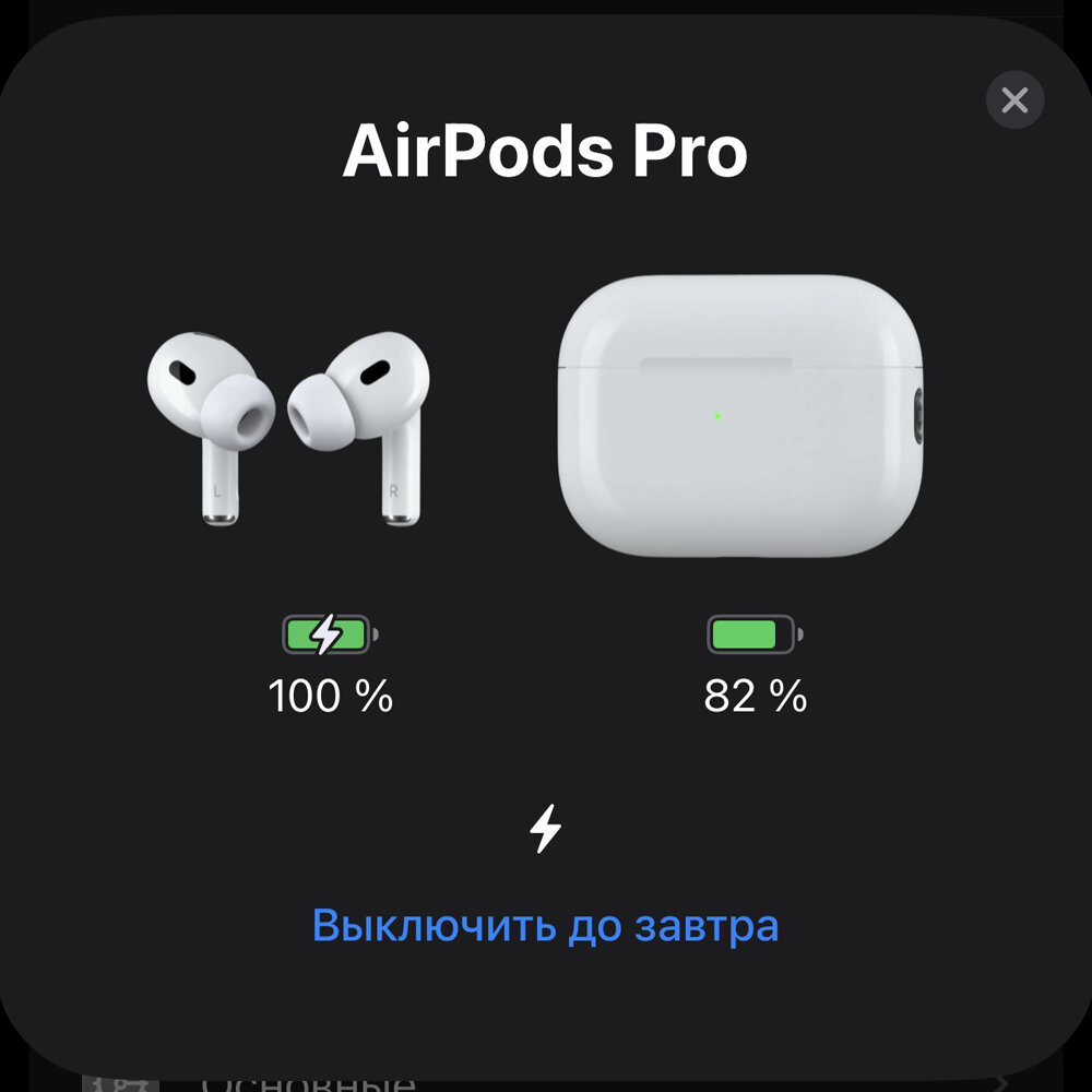 Беспроводные наушники Pods Pro 2 с режимом шумоподавления и прозрачности / Bluetooth наушники / Кабель Type-C на Type-С (новая версия) — фото 5