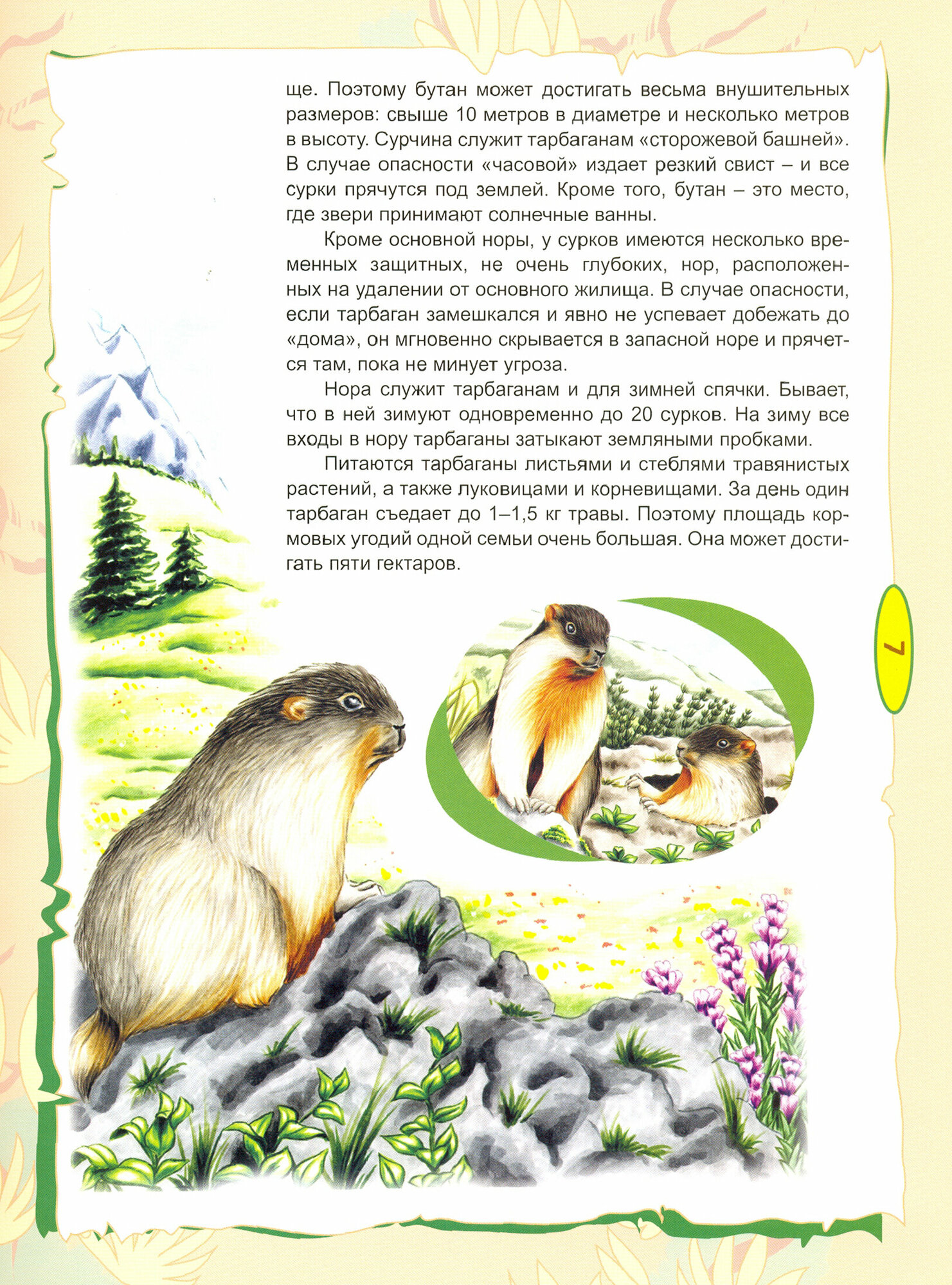 Красная книга для детей (Бабенко В., Фадеева Е.) - фото №9