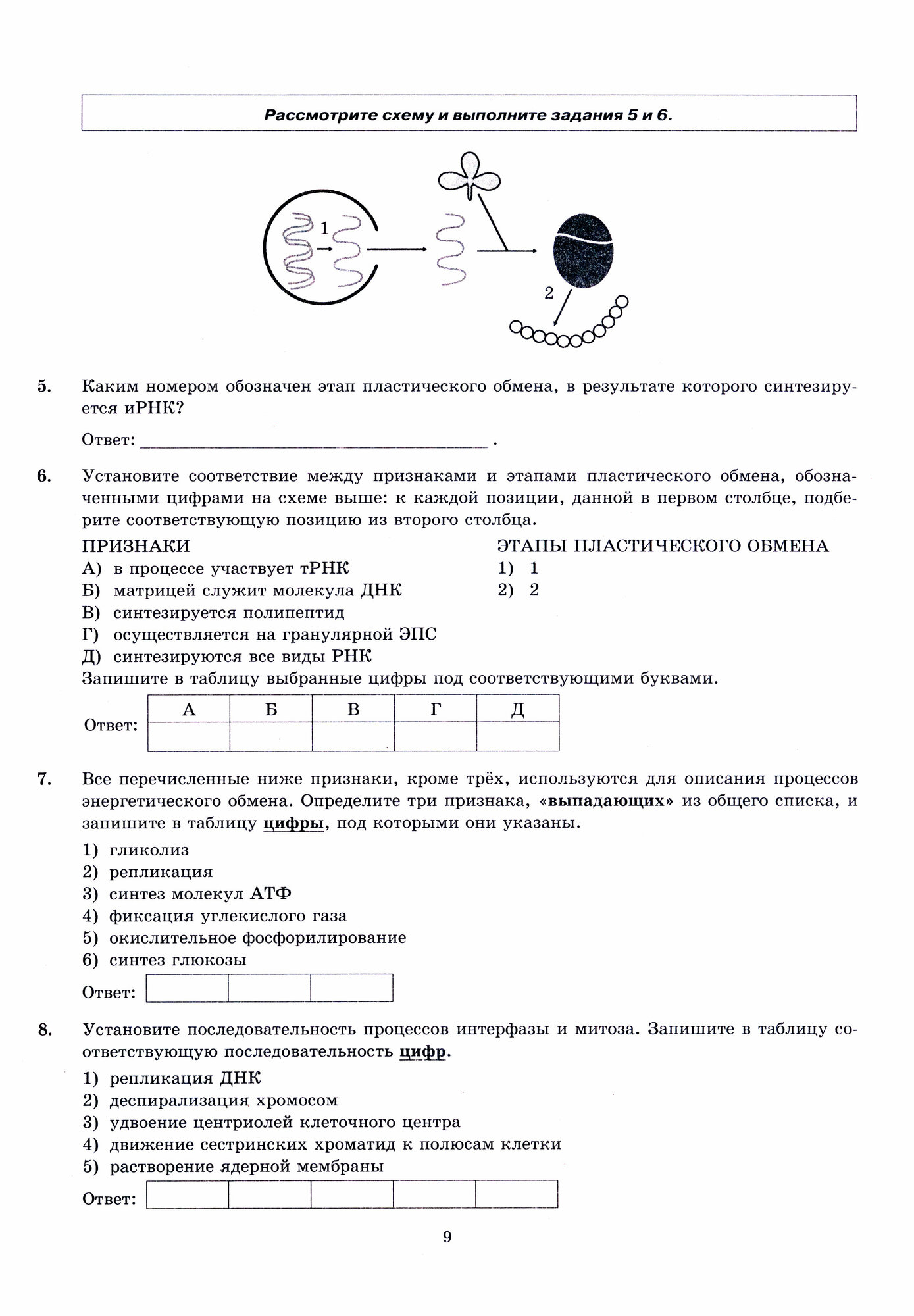 ЕГЭ-2024. Биология. 15 Вариантов. Типовые варианты экзаменационных заданий от разработчиков ЕГЭ - фото №7