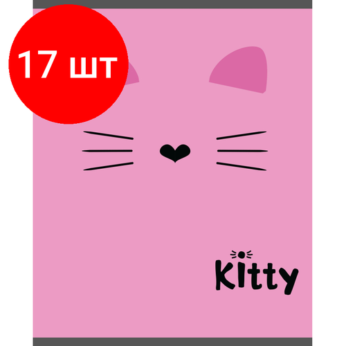 Комплект 17 штук, Тетрадь общая А5 48л №1School Kitty роз, клет, скреп, ВД-лак комплект 17 штук тетрадь общая а5 48л 1school idea клет скреп вд лак