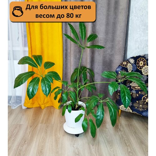 Напольная подставка для цветов на колесиках, белый.