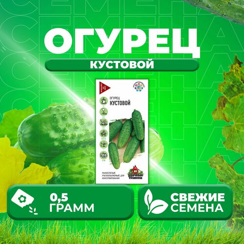 Огурец Кустовой, 0,5г, Удачные семена (1 уп)