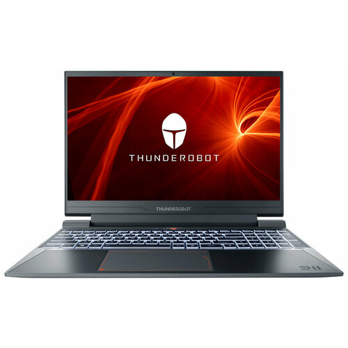 Ноутбук Thunderobot 911 X Wild Hunter G2L (JT009500ERU) серый
