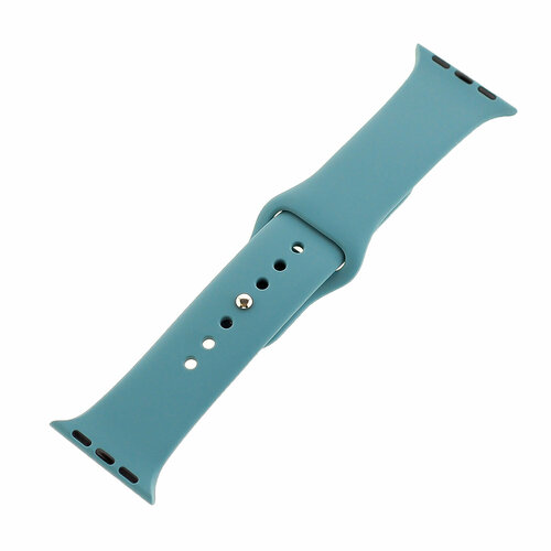 Ремешок силиконовый для Apple Watch 38мм/ 40мм/ 41мм размер S, #48 кактус