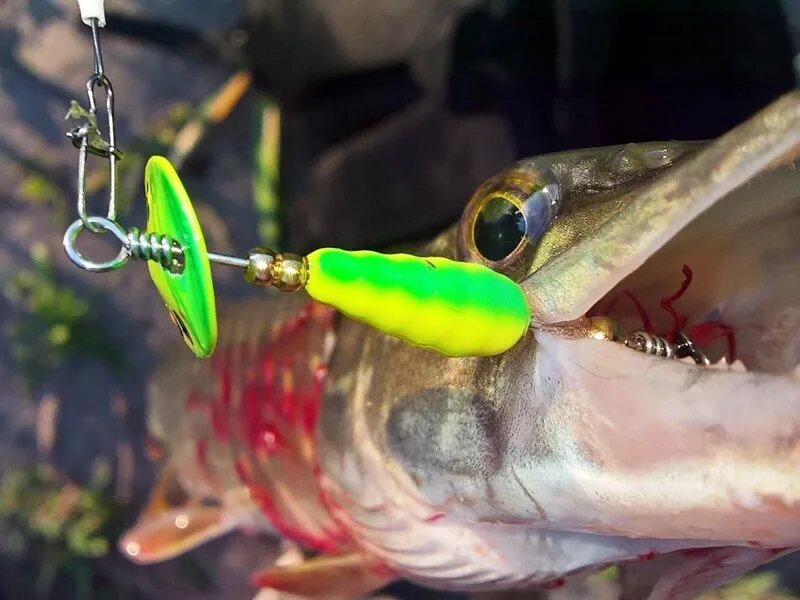 Блесна вращающаяся LUCKY JOHN EXCENTRIC IN-LINE №0 002 46 мм 2.5 гр — фото 1