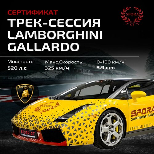 Сертификат на трек сессию на Lamborghini Gallardo легковой автомобиль welly lamborghini gallardo 43620 11 см белый