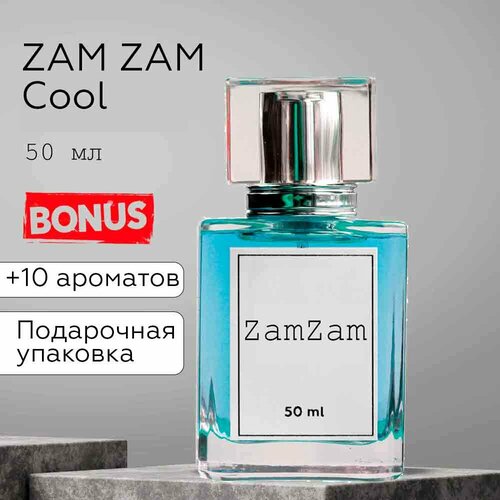 Ergo sum perfumes духи мужские холодные Зам Зам Кул синие / Zam Zam Cold, 50 мл