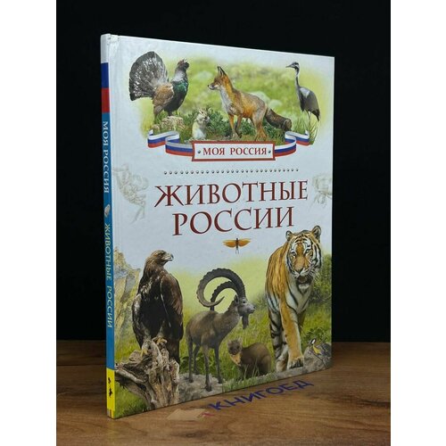 Животные России 2015