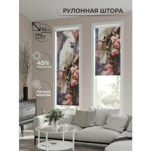 Рулонные шторы AT HOME Анимаис-443 - ширина 62 см, длина 170 см. высота 170 см, ширина 52 см