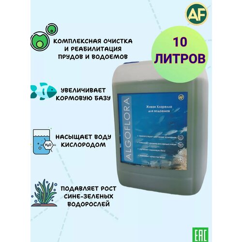 Хлорелла для очистки прудов и водоемов10 литров