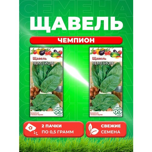 щавель чемпион семена среднеспелый сорт высотой до 40 см лист удлиненно овальный зеленый крупный очень сочный вкус слабокислый Щавель Чемпион 0,5 г (2уп)