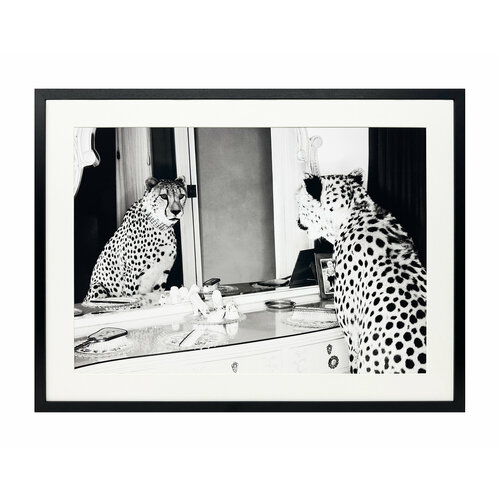 Постер Cheetah