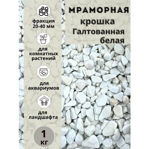 Мраморная крошка белая галтованная 20-40 фракция (1 кг) для комнатных и садовых растений