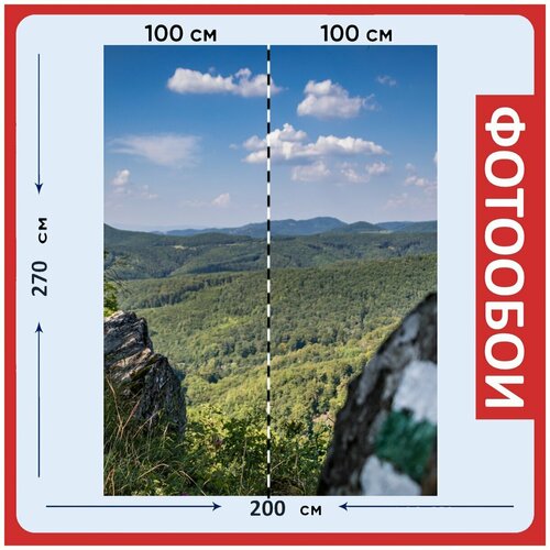 Фотообои Форрест посмотреть зеленый на стену 270x200 см 2970₽