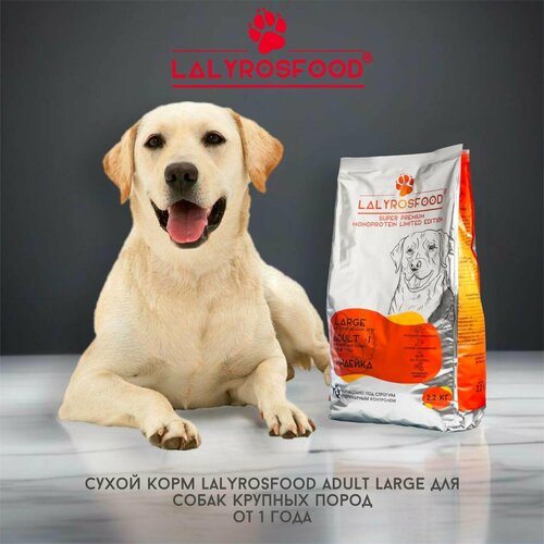 Сухой корм Lalyrosfood Adult Maxi для собак крупных пород, индейка, 2,2 кг