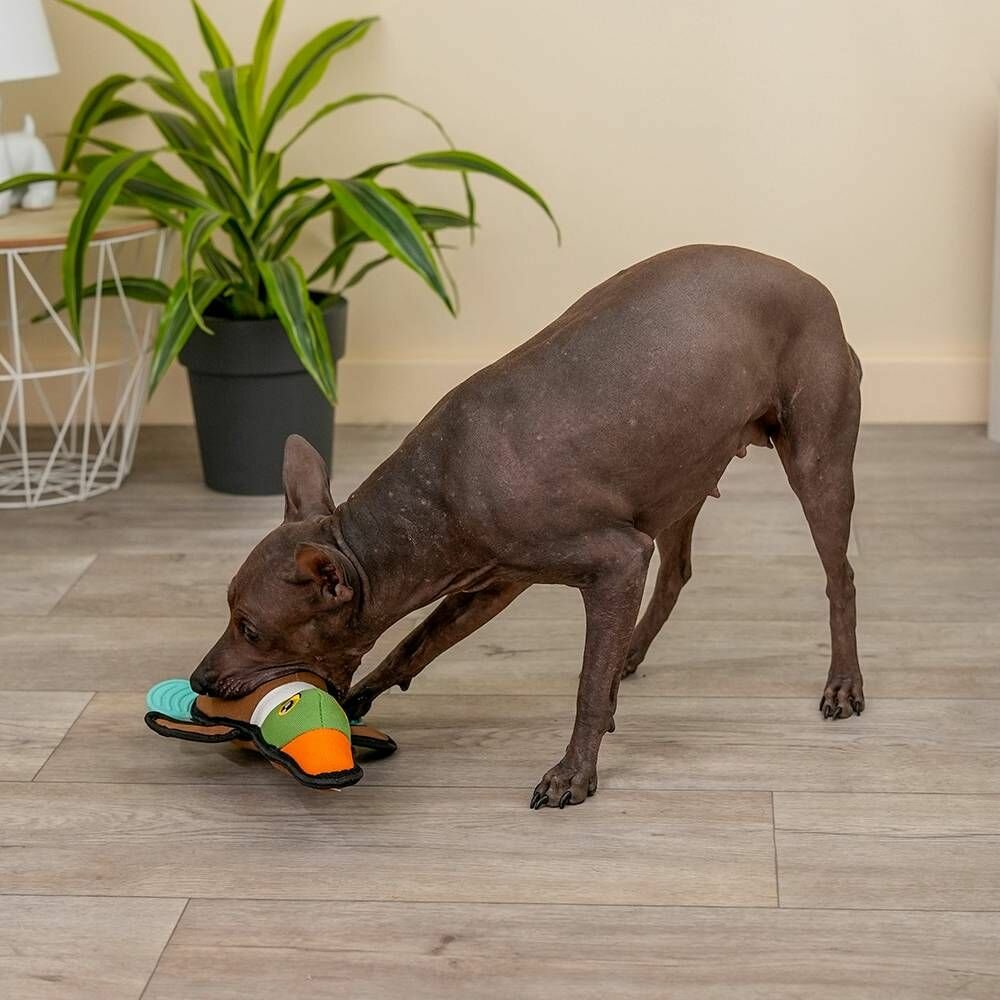 Rurri Игрушка для собак Утка, 27 см - фото №2