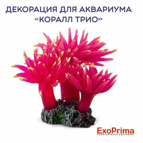 Декорация для аквариума EXOPRIMA Коралл трио силикон розовая 10х75х75см 576₽
