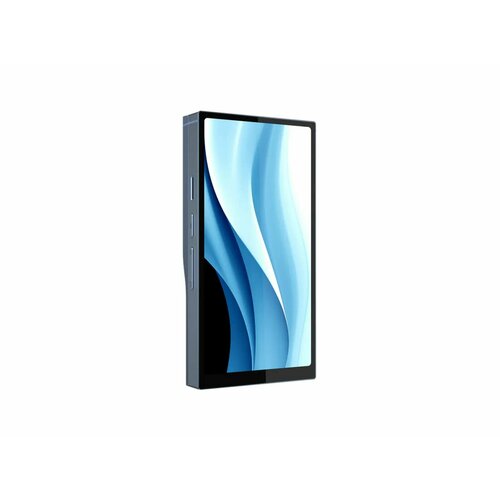 Плеер HiBy R6Pro Max Синий 158334₽