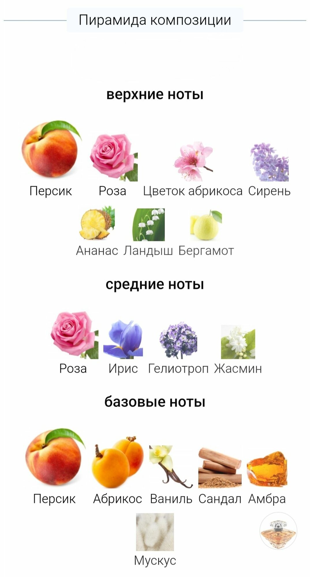 Духи ручной работы по мотивам ' Tresor', Ланком , для женщин — фото 1