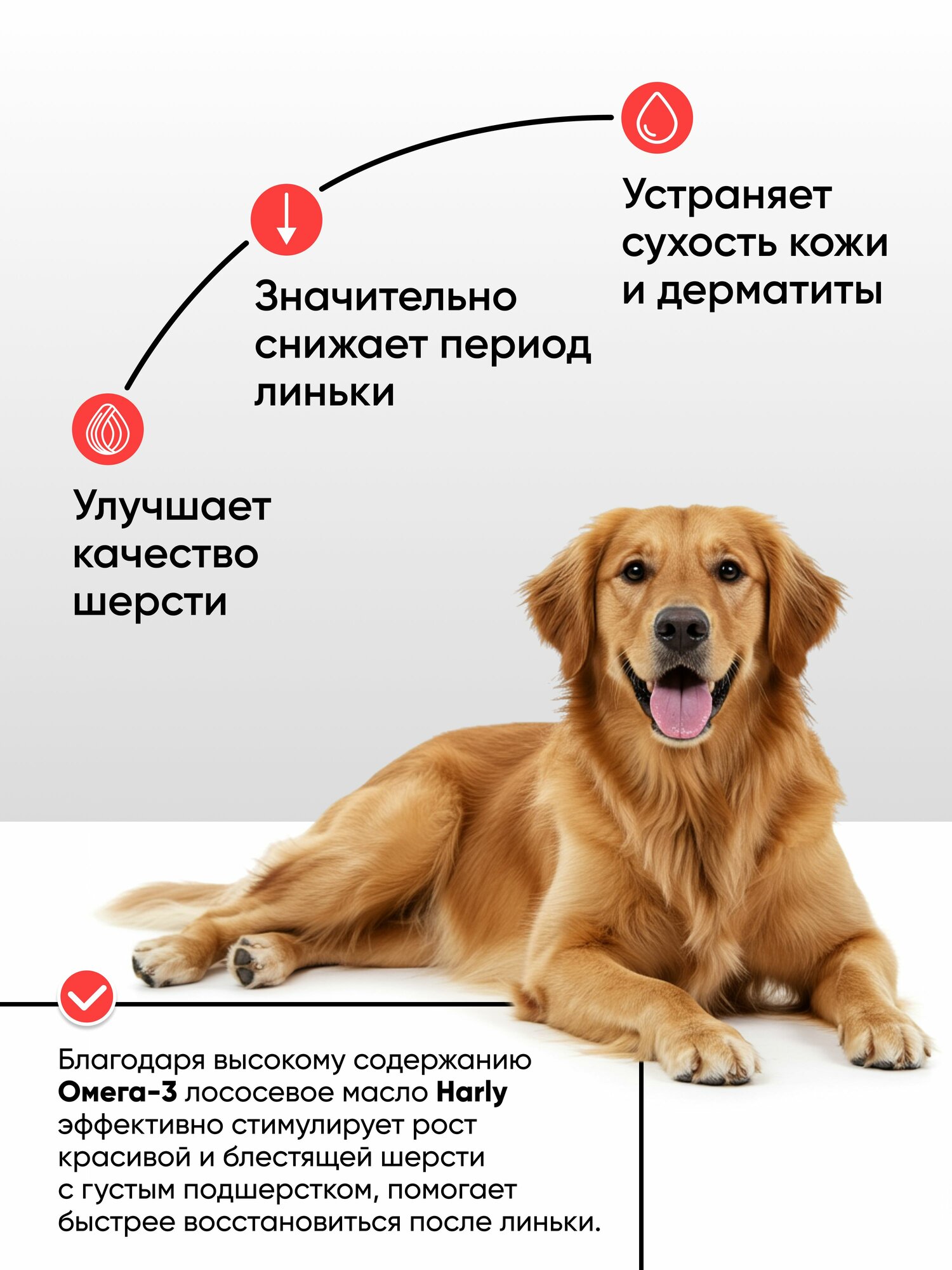 Лососевое масло для собак и кошек, рыбий жир, масло лосося, Омега 3 для животных, Harly 150 мл — фото 1