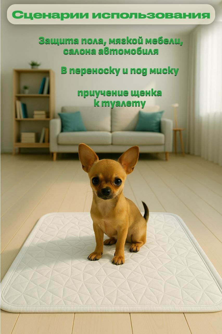 Пеленка многоразовая DRY для животных, для кошек и собак, 60х45 см — фото 1