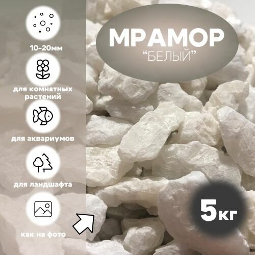 Камни для декора цветов, сада, клумб, участка, ландшафта Белые 10-20 мм