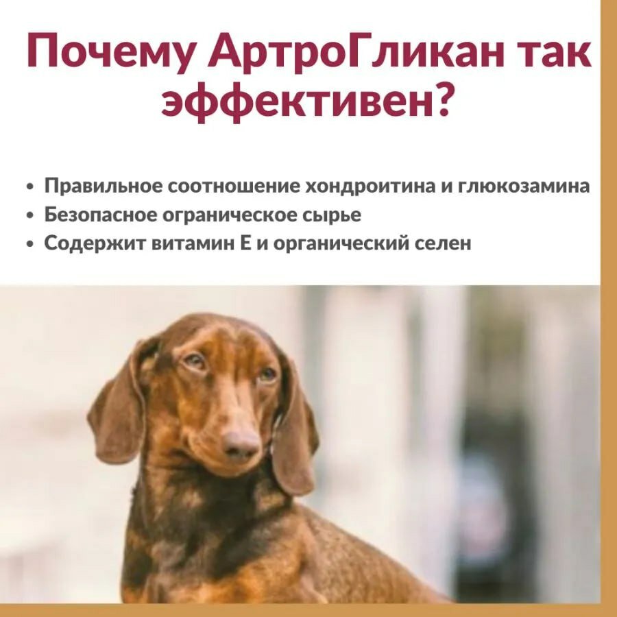 Изображение Артрогликан для кошек и собак, хондропротектор, улучшает состояние печени и сердца, таблетки, 30 таблеток, 21 гр.