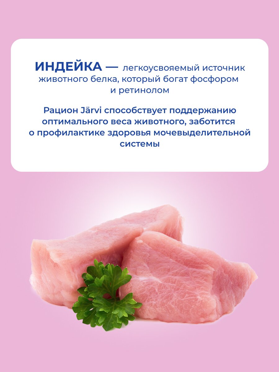 Влажный корм Jarvi Extra meat line для стерилизованных кошек (кусочки в желе) Индейка, 85 г х 12 шт. — фото 1