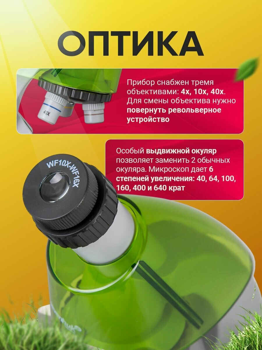 Микроскоп Levenhuk LabZZ M101 LimeЛайм детский биологический микроскоп — фото 1