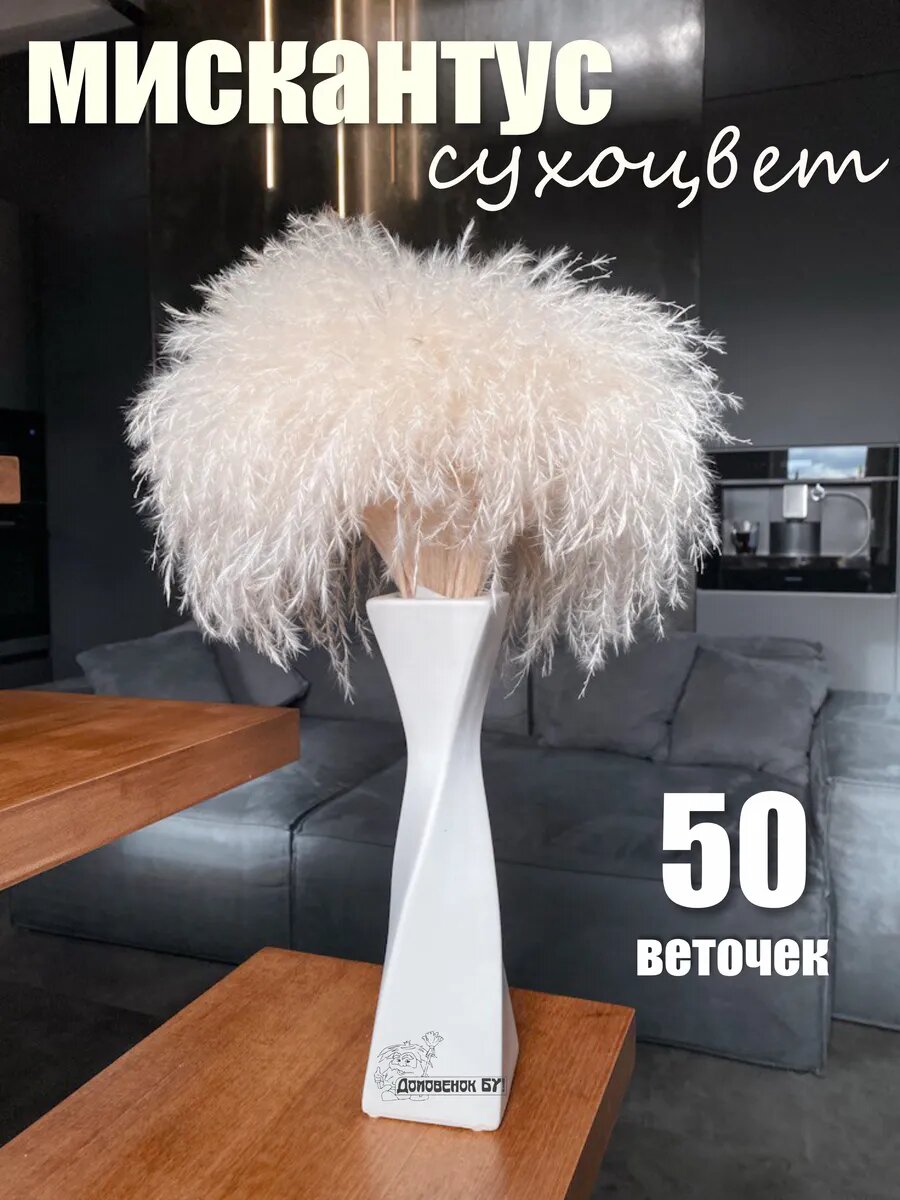 Сухоцвет для декора пампасная трава мискантус белый